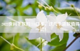 2022夜间下款的714口子，这几个贷款值得一试！