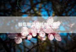 股指期货交易时间是？