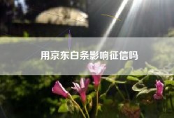 用京东白条影响征信吗