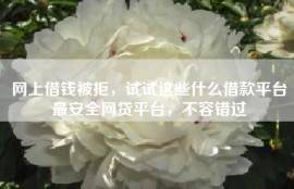 网上借钱被拒，试试这些什么借款平台最安全网贷平台，不容错过