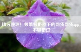 精选整理！频繁被拒秒下的网贷网贷app，不容错过