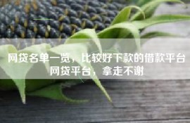 网贷名单一览，比较好下款的借款平台网贷平台，拿走不谢