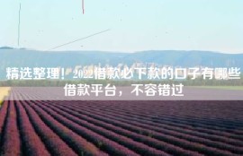 精选整理！2022借款必下款的口子有哪些借款平台，不容错过