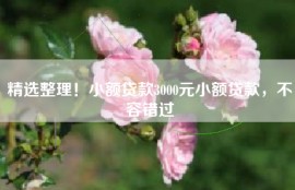 精选整理！小额贷款3000元小额贷款，不容错过