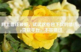 网上借钱被拒，试试这些包下款的借钱app贷款平台，不容错过