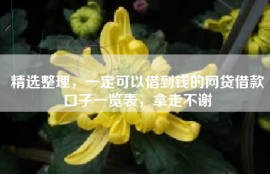 精选整理，一定可以借到钱的网贷借款口子一览表，拿走不谢