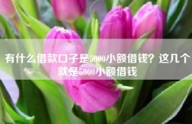 有什么借款口子是5000小额借钱？这几个就是5000小额借钱