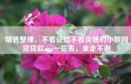精选整理，不看征信不看负债的小额网贷贷款app一览表，拿走不谢
