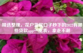 精选整理，花户贷款口子秒下的2022有哪些贷款app一览表，拿走不谢