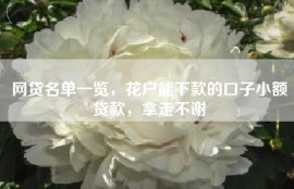 网贷名单一览，花户能下款的口子小额贷款，拿走不谢