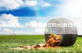 精选整理！千万不能错过的2022新口子借款软件