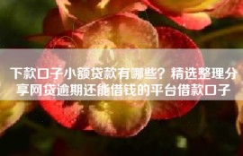 下款口子小额贷款有哪些？精选整理分享网贷逾期还能借钱的平台借款口子