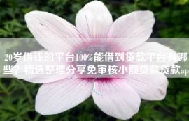 20岁借钱的平台100%能借到贷款平台有哪些？精选整理分享免审核小额贷款贷款app