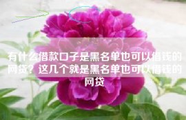有什么借款口子是黑名单也可以借钱的网贷？这几个就是黑名单也可以借钱的网贷