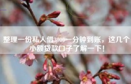 整理一份私人借3000一分钟到账，这几个小额贷款口子了解一下！