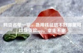 网贷名单一览，急用钱征信不好哪里可以贷贷款app，拿走不谢