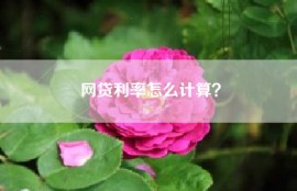 网贷利率怎么计算？