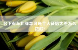名下有车和绿本可是个人征信太差怎么贷款?