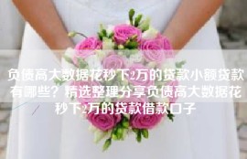负债高大数据花秒下2万的贷款小额贷款有哪些？精选整理分享负债高大数据花秒下2万的贷款借款口子