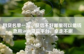 网贷名单一览，征信不好哪里可以借钱 急用50000贷款平台，拿走不谢