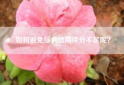 如何避免综合信用评分不足呢？
