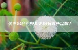 荷兰出产的婴儿奶粉有哪些品牌？