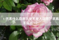 ￥代表什么意思？是不是人民币？求高手指点~？
