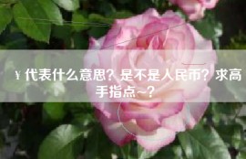 ￥代表什么意思？是不是人民币？求高手指点~？