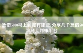 急借5000马上到账有哪些?分享几个急借5000马上到账平台