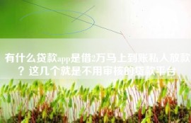 有什么贷款app是借2万马上到账私人放款？这几个就是不用审核的贷款平台