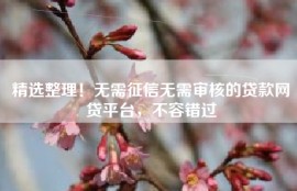 精选整理！无需征信无需审核的贷款网贷平台，不容错过