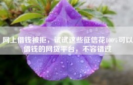 网上借钱被拒，试试这些征信花100%可以借钱的网贷平台，不容错过