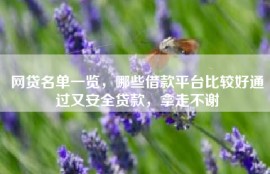 网贷名单一览，哪些借款平台比较好通过又安全贷款，拿走不谢