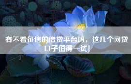 有不看征信的借贷平台吗，这几个网贷口子值得一试！