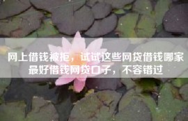 网上借钱被拒，试试这些网贷借钱哪家最好借钱网贷口子，不容错过