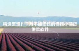 精选整理！千万不能错过的借钱小额贷借款软件