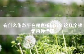 有什么借款平台是直接借钱？这几个就是直接借钱