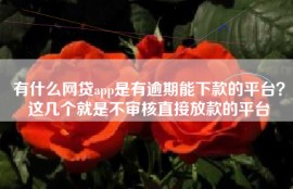 有什么网贷app是有逾期能下款的平台？这几个就是不审核直接放款的平台