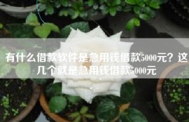 有什么借款软件是急用钱借款5000元？这几个就是急用钱借款5000元