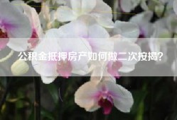 公积金抵押房产如何做二次按揭？