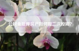 公积金抵押房产如何做二次按揭？