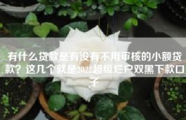 有什么贷款是有没有不用审核的小额贷款？这几个就是2022超级烂户双黑下款口子