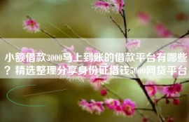 小额借款3000马上到账的借款平台有哪些？精选整理分享身份证借钱5000网贷平台