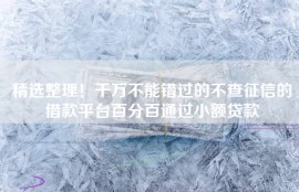精选整理！千万不能错过的不查征信的借款平台百分百通过小额贷款