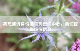 我想起诉身份证号码查询中心，他们提供虚假信息