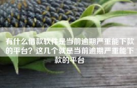 有什么借款软件是当前逾期严重能下款的平台？这几个就是当前逾期严重能下款的平台