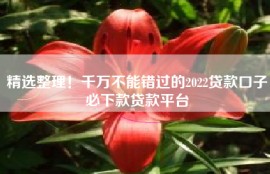 精选整理！千万不能错过的2022贷款口子必下款贷款平台
