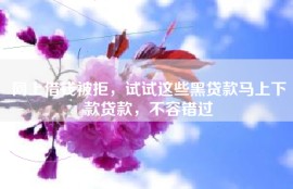 网上借钱被拒，试试这些黑贷款马上下款贷款，不容错过