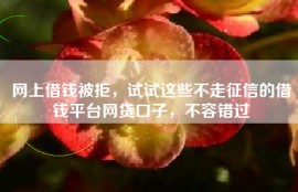 网上借钱被拒，试试这些不走征信的借钱平台网贷口子，不容错过