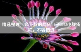 精选整理！必下款的网贷口子2022小额贷款，不容错过